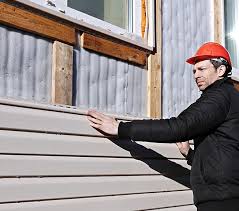 Best Steel Siding Installation  in Cold Spring, MN